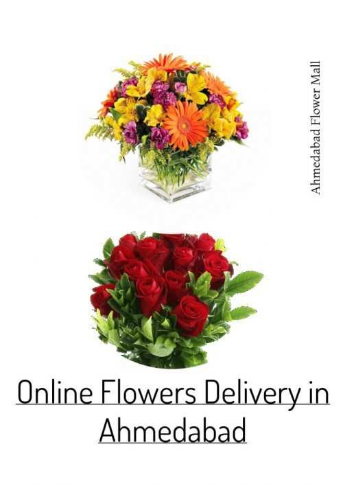 New Range of Diwali Gifts Delivery in Ahmedabad – Ahmedabad Flower Mall