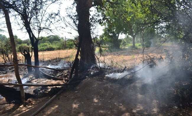 Cow dung catches fire, engulf 500 meter area