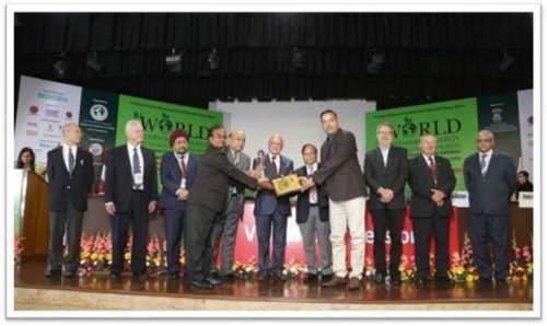 HZL Kayad Mine awarded Global Sustainability Award 2017