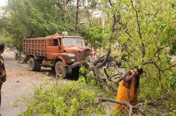 Truck smashes into Tree, no casualties though