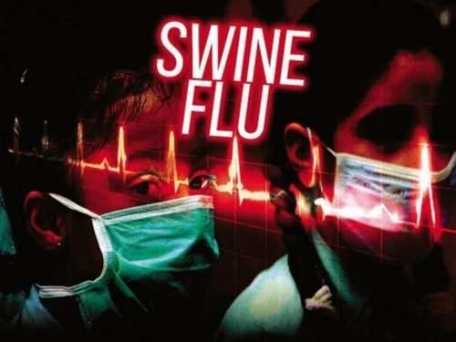Swine flu menace is back | 7 cases & 1 death in 10 days