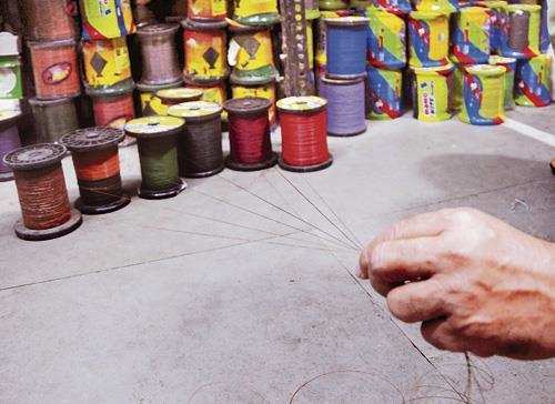 Udaipur Collector imposes ban on “Chinese thread” for kite-flying