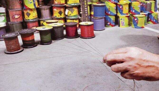 Udaipur Collector imposes ban on &ldquo;Chinese thread&rdquo; for kite-flying