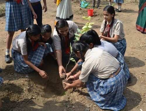 Tree Plantation Drive in Seedling Modern Public School