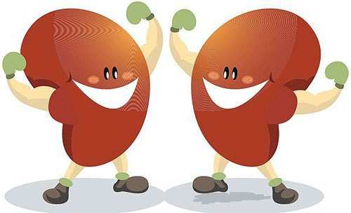 World Kidney Day: Your Guide to Healthy Kidneys