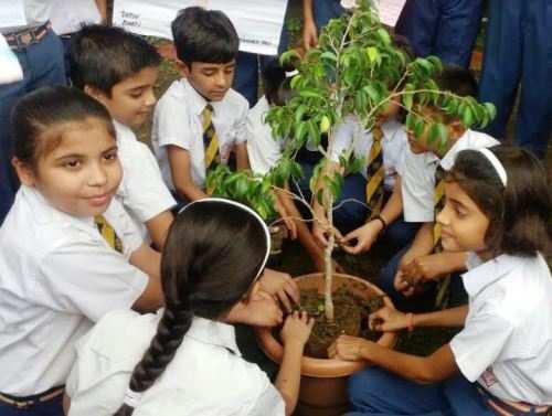 एमएमवीएम में नन्हें बच्चों ने किया वृक्षारोपण