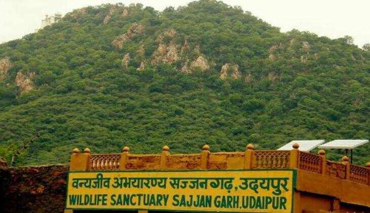 New time schedule for Sajjangarh Bio-park and sanctuary