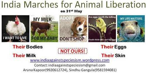 India Marches for Animal Liberation on 31st May