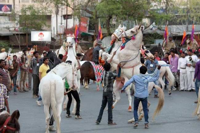 [Photos] Horse Show enthralls Audience