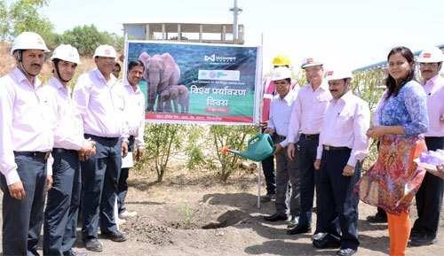  Environment Day at Wonder Cement
