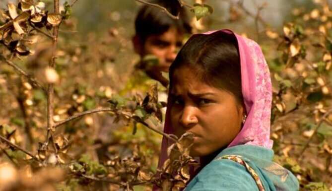 17 children being hauled away to Gujarat rescued
