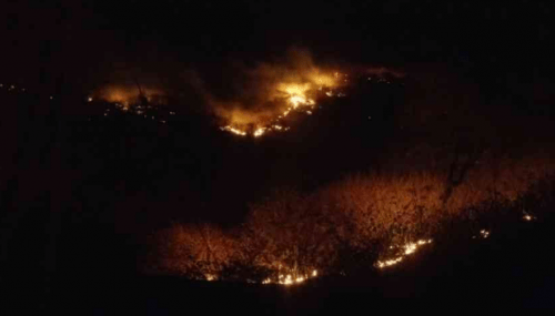 Fire in forest area behind Sajjangarh