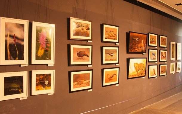 Wild Life Exhibition begins at R Kay Mall