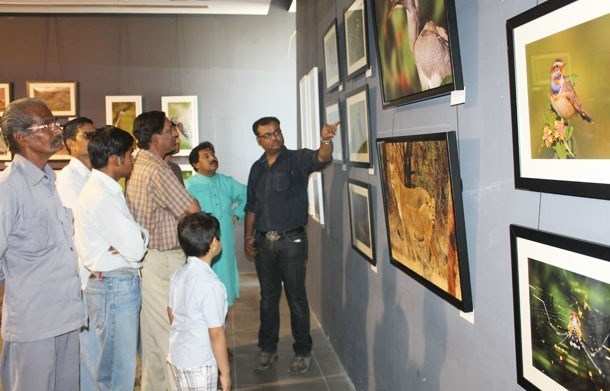 Wild Life Exhibition begins at R Kay Mall