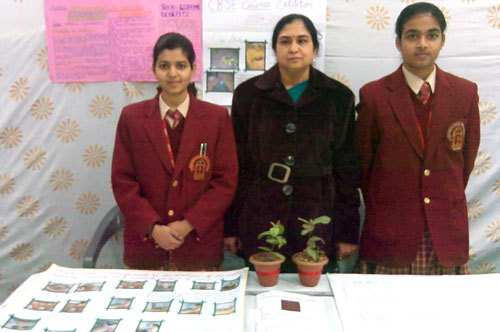 Gulnaz & Jayshree’s project selected for National Competition