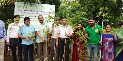 हिन्दुस्तान जिंक के सहयोग से वन विभाग करेगा 20,000 पौधों का वितरण