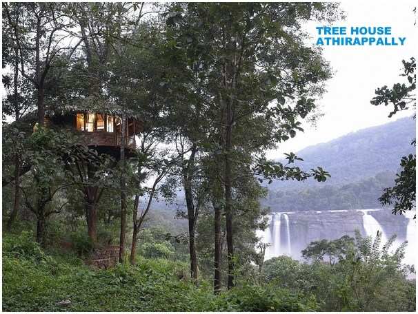 Romantic places to visit for a honeymoon in Kerala