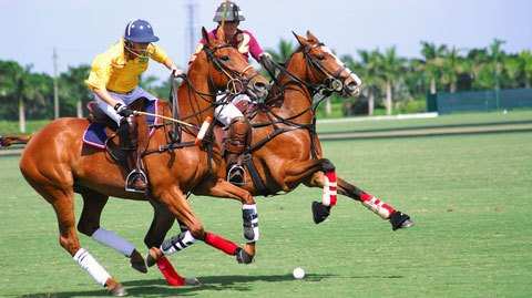 Udaipur to witness Polo Match on 14th August