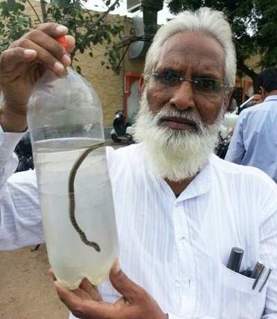 Snake came out from Government tap, shocks residents