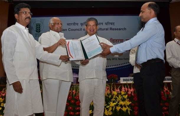 MPUAT Professor receives Vasant Rao Naik Award for Research Work