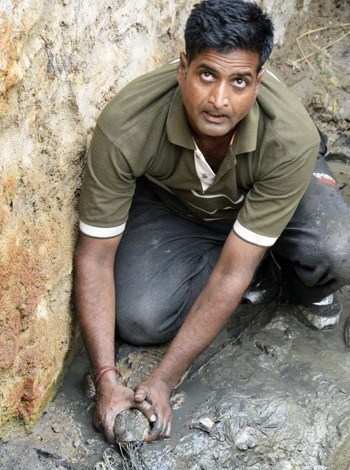 Crocodile Found in Well, Rescued