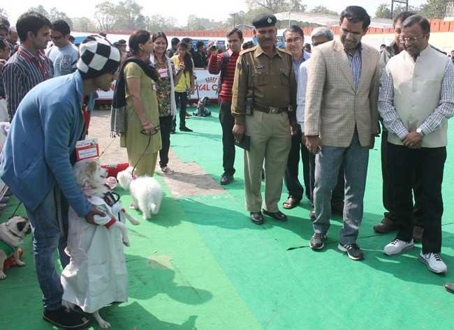 [Photos] Dog Show in Udaipur