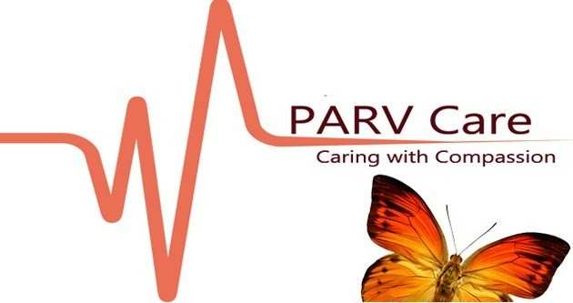 Parv Care, celebrating Parental Care