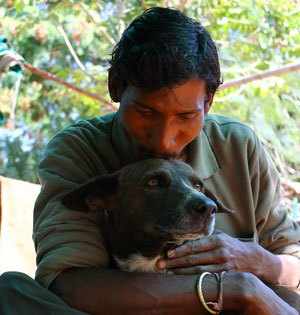 Paralyzed dog brought to Animal Aid from Bangalore
