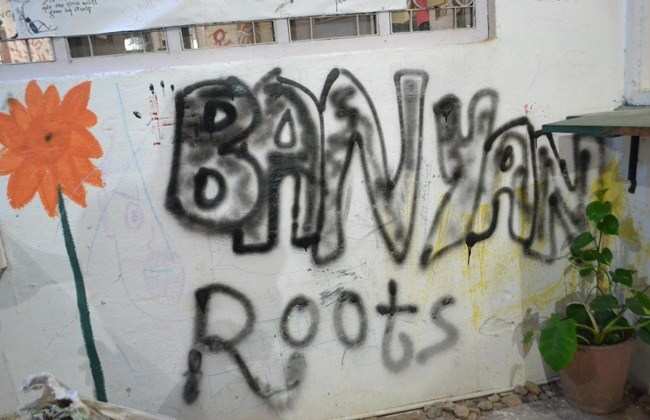 Banyan Roots celebrates first eventful year