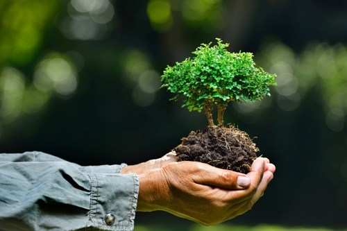 Plant a tree and win cash prize-BVP’s initiative