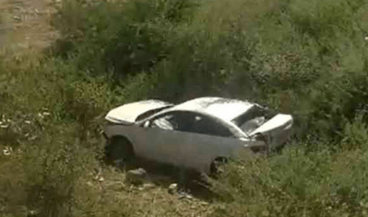 Car falls off the road in an attempt to save cattle