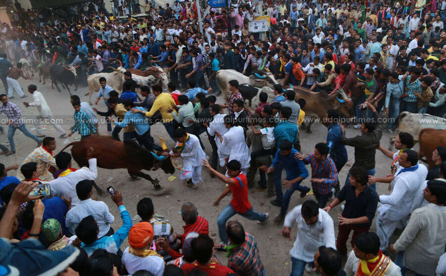 [Photos] Goverdhan Pooja at Nathdwara