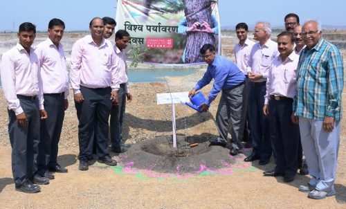 Wonder Cement Limited celebrates the World Environment Day with plantation program