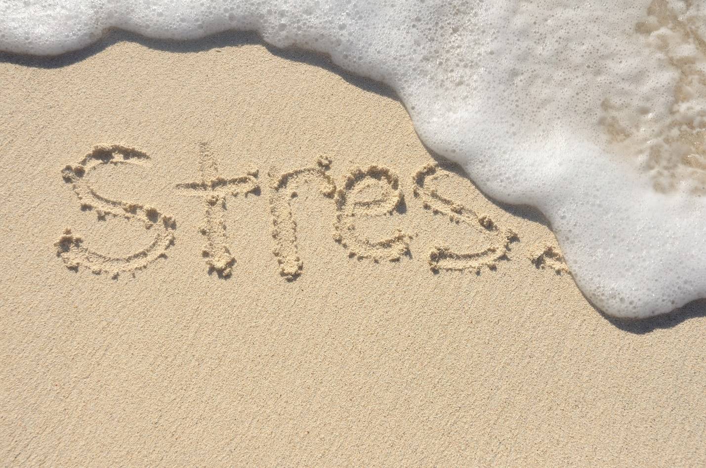 Feeling Stressed? Follow These Tips For Natural Stress Reduction