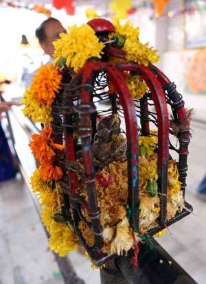 Chappan Bhog at Bohra Ganesh Ji