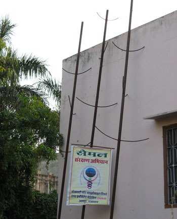 होलिका-दहन के लिए इको-फ्रेंडली विकल्प