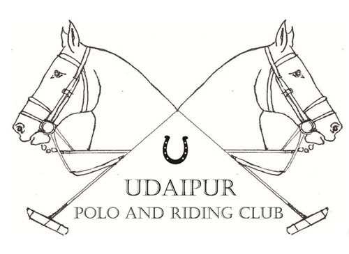 Polo Returns to Udaipur:  Players Unite to Push the Game