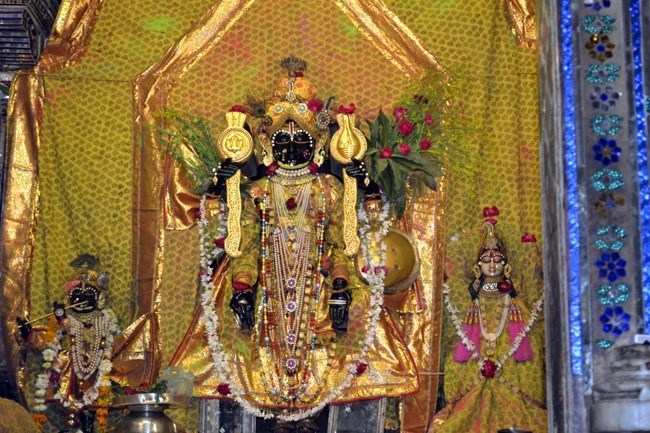 Jagdish Temple observes Basant Panchami programs