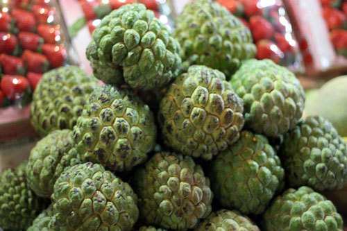 Organic Custard Apples to linger Taste Buds for entire year