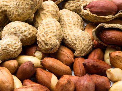 Go Nuts on Peanuts