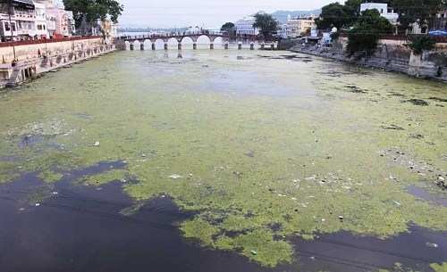 High Court orders cleaning of Lakes in 8 days