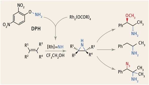 Former MLSU student in U.S Founds a simpler way to synthesize Aziridines