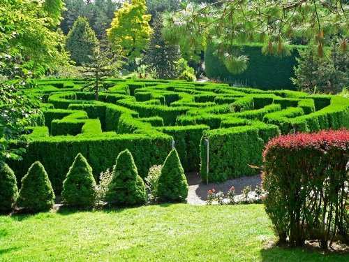 Best 3 Botanical Gardens in India