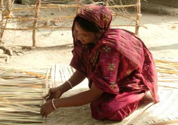 Vidhya Bhavan Exhibits Techniques to Develop Rural Life