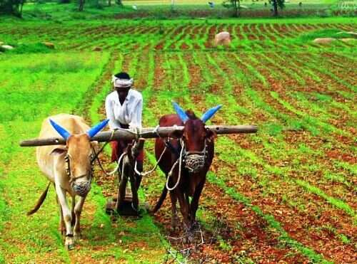 सरहद पर गोली खाने वाला एक सिपाही भी इसी किसान का बेटा है