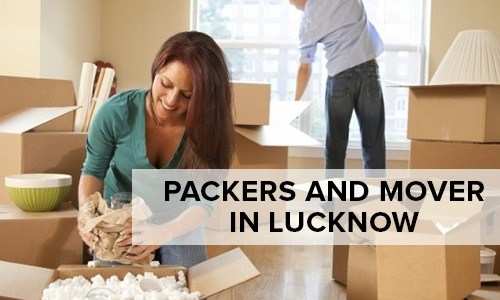 Smart Tips to move your Houseplants from Lucknow courtesy ThePackersMovers