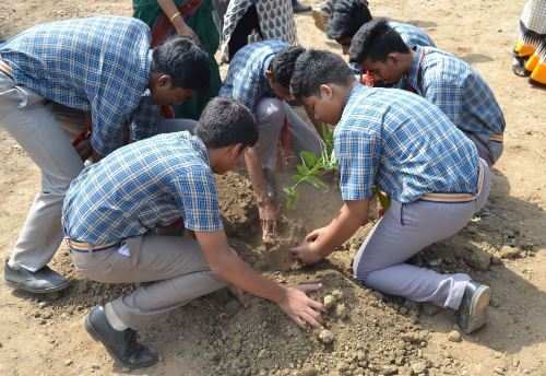 Tree Plantation Drive in Seedling Modern Public School