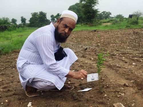 Over 200 trees planted by Bohra community members in plantation drive
