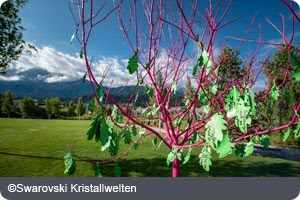 The Enchanted Garden – Austria beckons at Swarovski Kristallwenten
