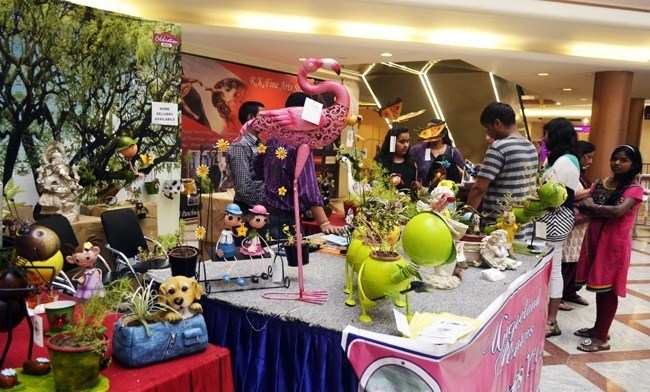 Uniqueland Planters attracts Mall Visitors